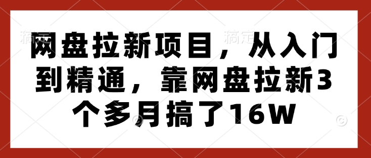 网盘拉新项目，从入门到精通，靠网盘拉新3个多月搞了16W-沐风资源库