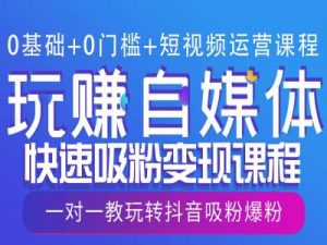 0基础+0门槛+短视频运营课程，玩赚自媒体快速吸粉变现课程，一对一教玩转抖音吸粉爆粉-沐风资源库