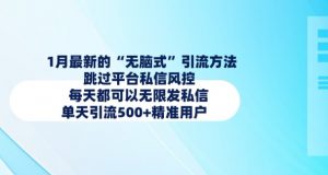 1月最新的无脑式引流方法，跳过平台私信风控，每天都可以无限发私信，单天引流500+精准用户-沐风资源库