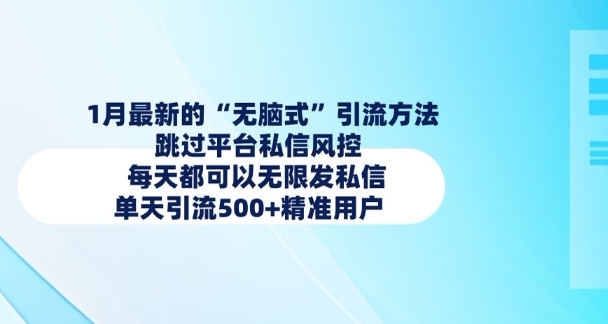 1月最新的无脑式引流方法，跳过平台私信风控，每天都可以无限发私信，单天引流500+精准用户-沐风资源库