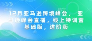 12月亚马逊跨境峰会， 亚马逊峰会直播，线上特训营基础版，进阶版-沐风资源库