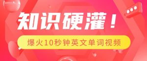 知识硬灌，1分钟教会你，利用AI制作爆火10秒钟记一个英文单词视频-沐风资源库
