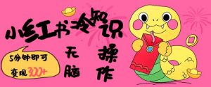 小红书冷知识账号，无脑复制粘贴，5分钟即可变现3张-沐风资源库