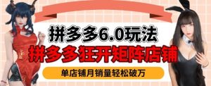 拼多多虚拟商品暴利6.0玩法，轻松实现月入过W-沐风资源库