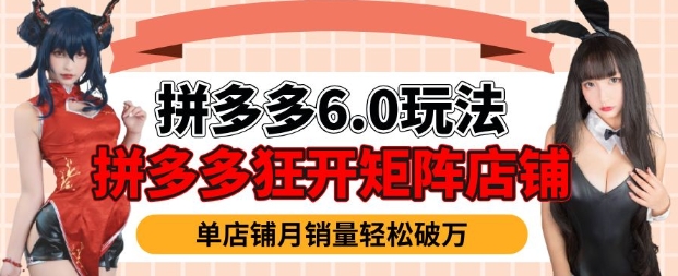 拼多多虚拟商品暴利6.0玩法，轻松实现月入过W-沐风资源库