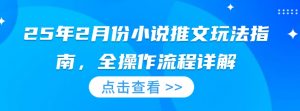 25年2月份小说推文玩法指南，全操作流程详解-沐风资源库