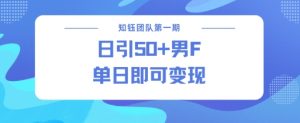 男粉引流新方法不违规，当日即可变现-沐风资源库
