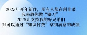 2025年开年新作，所有人都在割韭菜，我来教你做“镰刀” 2025让支持我的好兄弟们都可以通过“知识付费”拿到满意的成绩【揭秘】-沐风资源库