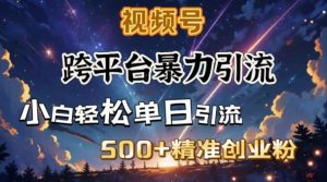 跨平台暴力引流，私域完美闭环，日引500+精准创业粉-沐风资源库