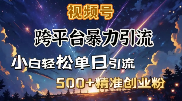 跨平台暴力引流，私域完美闭环，日引500+精准创业粉-沐风资源库