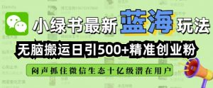 小绿书无脑搬运引流，全自动日引500精准创业粉，微信生态内又一个闷声发财的机会-沐风资源库