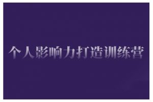 个人影响力打造训练营，掌握公域引流、私域运营、产品定位等核心技能，实现从0到1的个人IP蜕变-沐风资源库