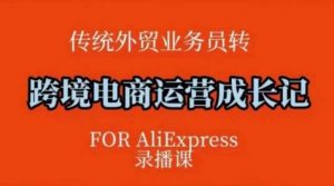 跨境电商速卖通运营课，​运营方法论+后台实操，逻辑清晰-沐风资源库