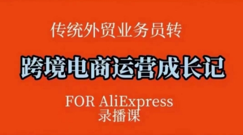 跨境电商速卖通运营课，​运营方法论+后台实操，逻辑清晰-沐风资源库