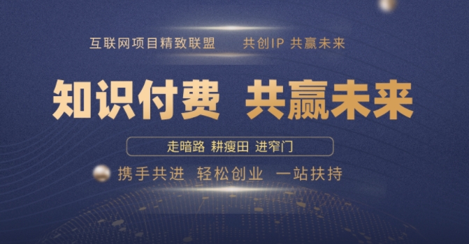 别人苦寻无果，为何他们靠知识付费卖项目 2025 年轻松年入100个?【揭秘】-沐风资源库