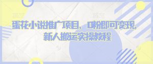 蛋花小说推文项目，0粉即可变现，新人搬运实操教程-沐风资源库