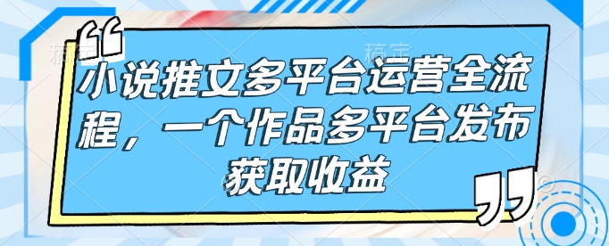 小说推文多平台运营全流程，一个作品多平台发布获取收益-沐风资源库