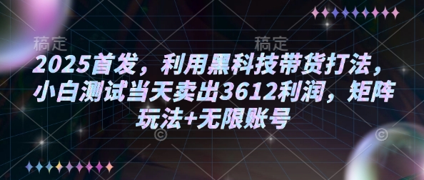 2025首发，利用黑科技带货打法，小白测试当天卖出3612利润，矩阵玩法+无限账号【揭秘】-沐风资源库