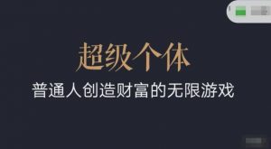 超级个体2024-2025翻盘指南，普通人创造财富的无限游戏-沐风资源库