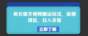 美女图文视频搬运玩法，亲测项目，日入多张-沐风资源库