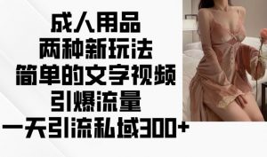 成人用品两种新玩法，简单的文字视频引爆流量，一天引流私域300+-沐风资源库