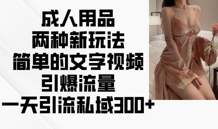 成人用品两种新玩法，简单的文字视频引爆流量，一天引流私域300+-沐风资源库