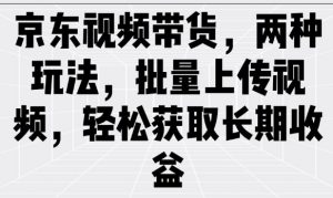 京东视频带货，两种玩法，批量上传视频，轻松获取长期收益-沐风资源库