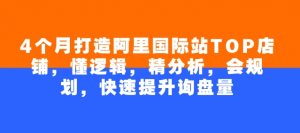 4个月打造阿里国际站TOP店铺，懂逻辑，精分析，会规划，快速提升询盘量-沐风资源库