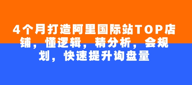 4个月打造阿里国际站TOP店铺，懂逻辑，精分析，会规划，快速提升询盘量-沐风资源库