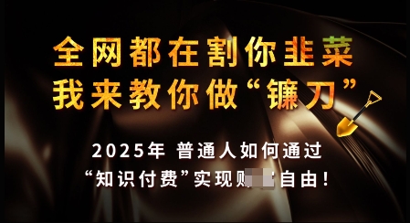 知识付费如何做到月入过W+，2025我来教你做“镰刀”【揭秘】-沐风资源库