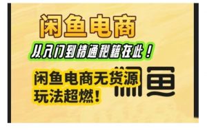闲鱼电商实战课，从入门到精通秘籍在此，闲鱼电商无货源玩法超燃!-沐风资源库