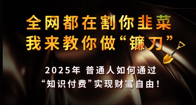 全网都在割你韭菜,我来教你做镰刀,2025年普通人如何通过 知识付费 实现财F自由【揭秘】-沐风资源库