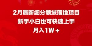 2月最新细分领域落地项目，新手小白也可快速上手，月入1W-沐风资源库