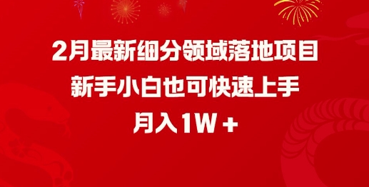 2月最新细分领域落地项目，新手小白也可快速上手，月入1W-沐风资源库