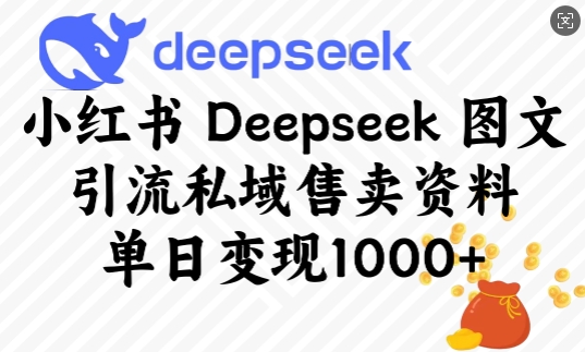小红书Deepseek图文引流私域售卖资料，单日变现多张-沐风资源库