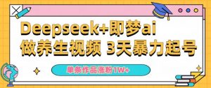 小白用DeepSeek+即梦做ai养生视频，一条作品涨粉5万+，单日收益多张-沐风资源库
