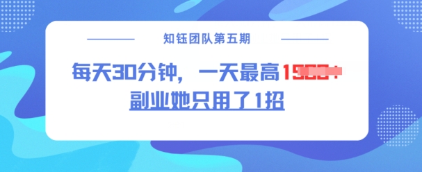 副业她只用了1招，每天30分钟，无脑二创，一天最高1.5k-沐风资源库