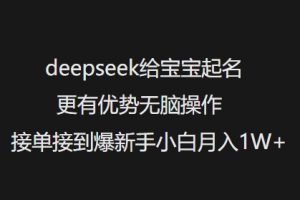 deepseek给宝宝起名更有优势无脑操作接单接到爆新手小白月入1W+-沐风资源库