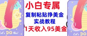 复制粘贴挣美金，0门槛，1天收入95美刀，3分钟学会，内部教程(首次公开)-沐风资源库