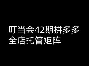 叮当会拼多多打爆班原创高阶技术第42期，拼多多全店托管矩阵-沐风资源库