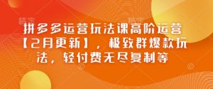 拼多多运营玩法课高阶运营【2月更新】，极致群爆款玩法，轻付费无尽复制等-沐风资源库