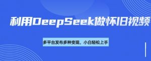 利用DeepSeek做怀旧视频，流量号多渠道变现能力强-沐风资源库
