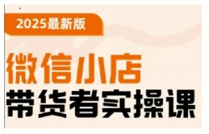 2025最新版微信小店带货者实操课，基础操作到高级运营技巧，快速上手-沐风资源库