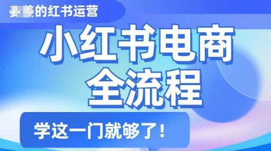 小红书电商全流程，精简易懂，从入门到精通，学这一门就够了-沐风资源库