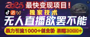 欲罢不能的无人直播引流，超暴力日引流1000+高质量精准创业粉-沐风资源库
