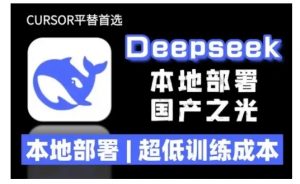 2025年deepseek R1 大型模型本地安装部署(文件+教程)本地部署，超低训练成本-沐风资源库