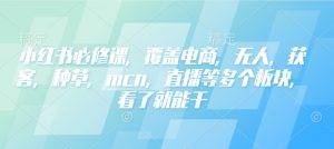 小红书必修课，覆盖电商，无人，获客，种草，mcn，直播等多个板块，看了就能干-沐风资源库