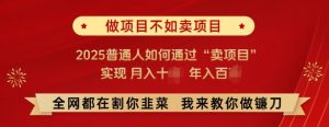 必看，做项目不如卖项目，2025普通人如何通过“卖项目”实现月入十个，年入百个-沐风资源库