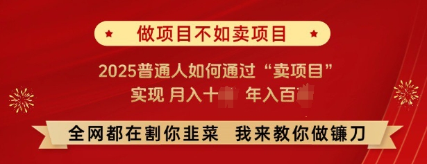 必看，做项目不如卖项目，2025普通人如何通过“卖项目”实现月入十个，年入百个-沐风资源库
