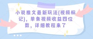 小说推文最新玩法(视频标记)，单条视频收益四位数，详细教程来了-沐风资源库